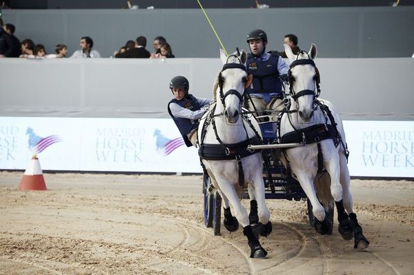 madrid horse week